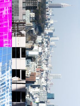 koyama-2