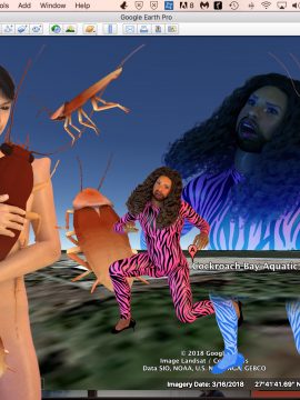 cockroach-google