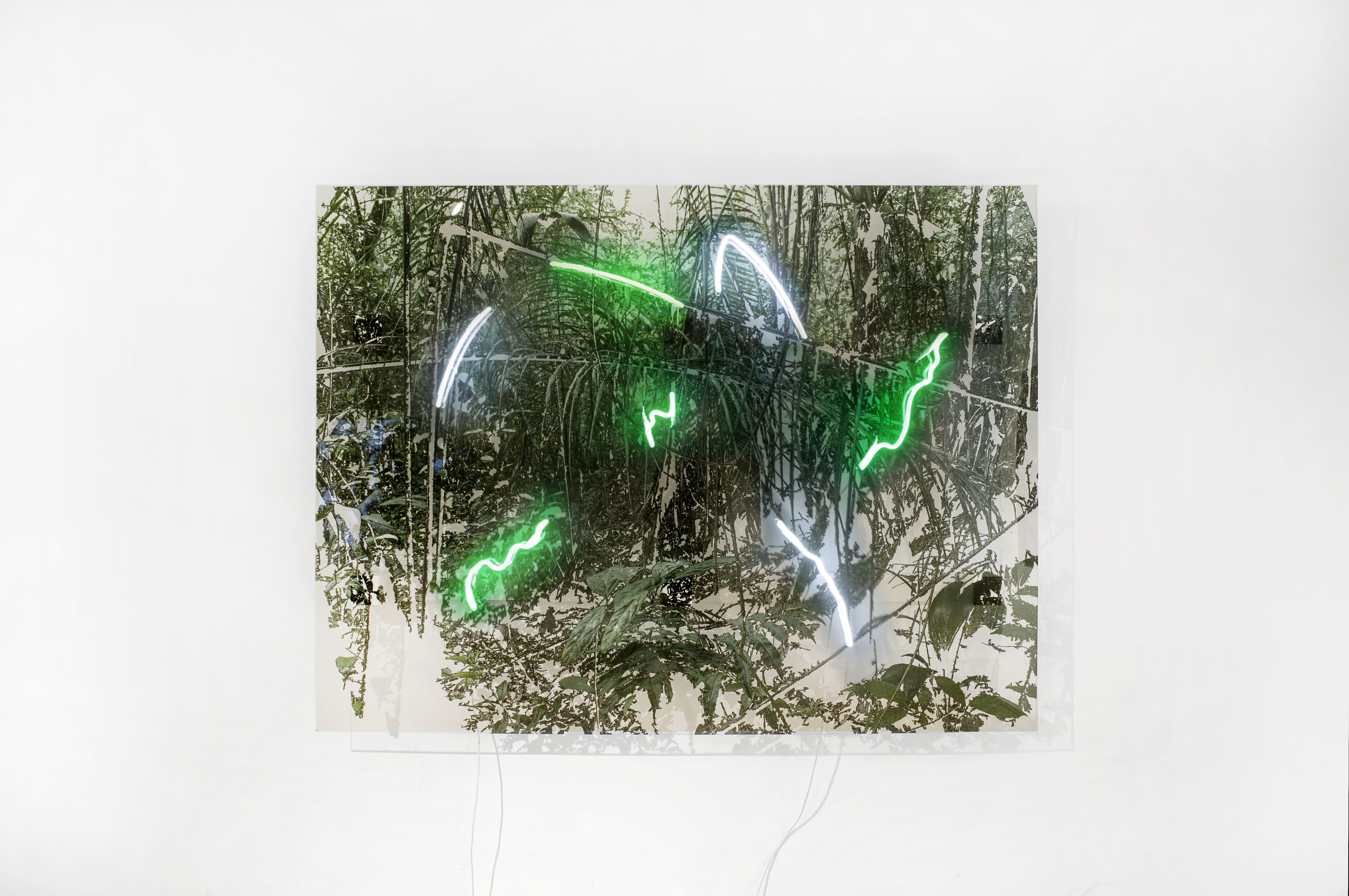 1-gauzy-green-2020-stampa-su-plexiglass-neon-150-x-200-cm-courtesy-lartista