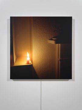 candle-with-plants_b
