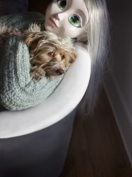 ls-304-blonde_aqua-sweater_dog-lr