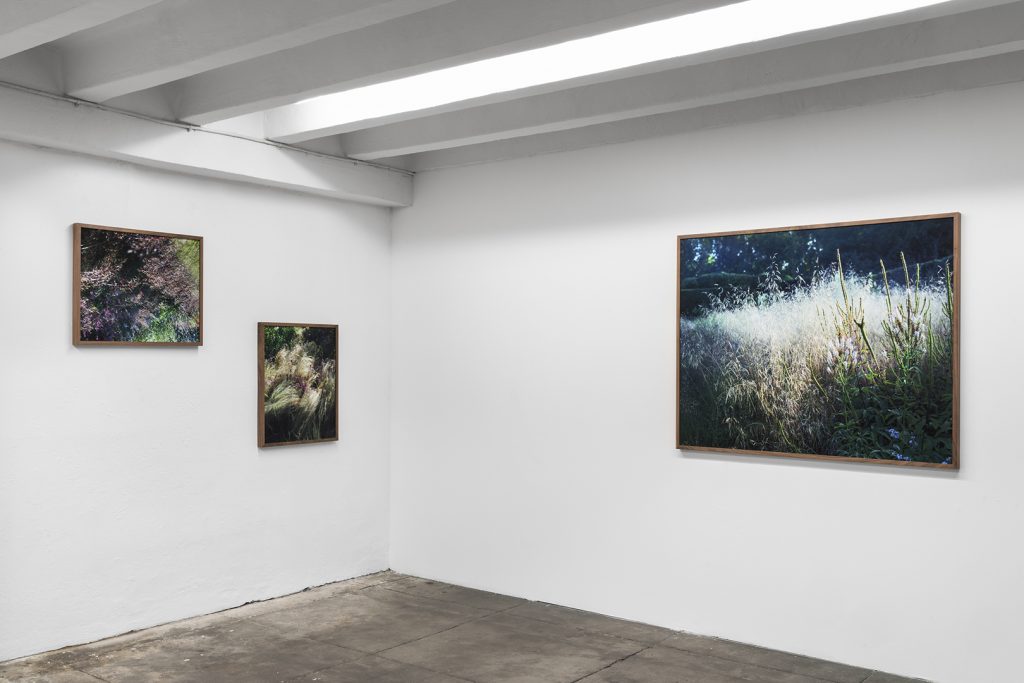 Spontaneum, Marsell Paradise, Installation view © photo Lorenzo Capelli