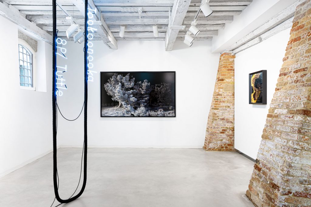 I Dreamed a Dream - Chapter 2, curated by Domenico De Chirico, Installation view at Marignana Arte, Venice, Italy © Silvia Longhi, all images courtesy of the artists and Marignana Arte 