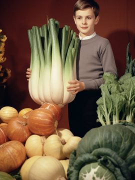 new-farmer